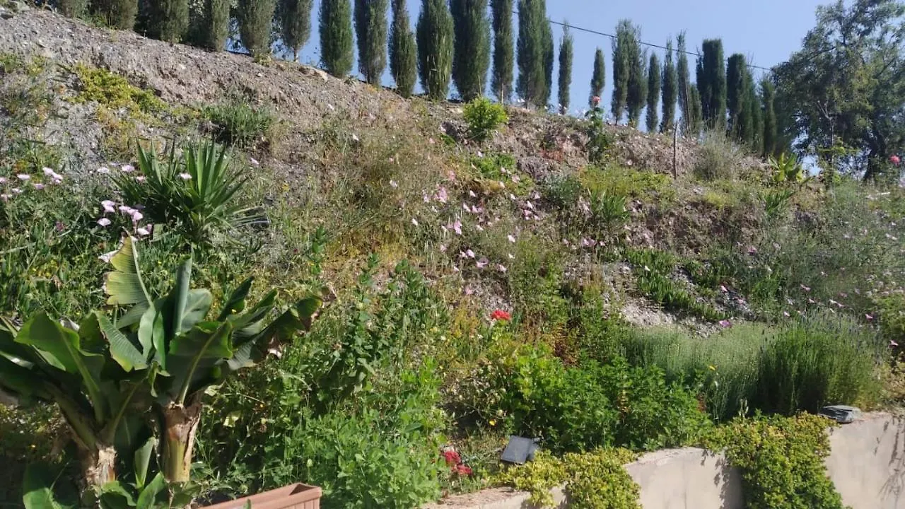 Loft Rural Molinillo Villa Comares Holiday home